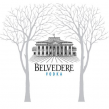 vodka-belvedere