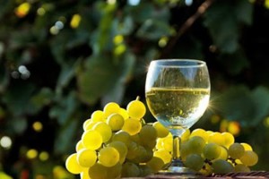 Tại sao vang trắng tốt cho sức khỏe? 