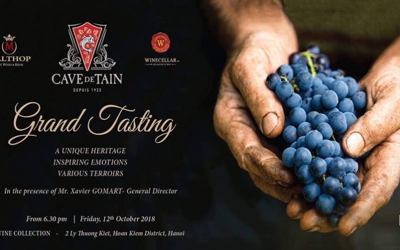 KHÁM PHÁ HƯƠNG VỊ RƯỢU VANG