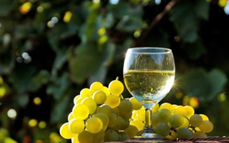Tại sao vang trắng tốt cho sức khỏe? 