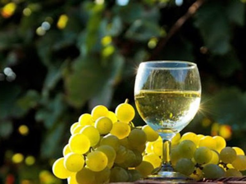 Tại sao vang trắng tốt cho sức khỏe? 